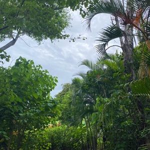 Meet your Posher, Lucy